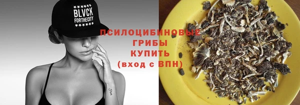 прущий лед Армянск
