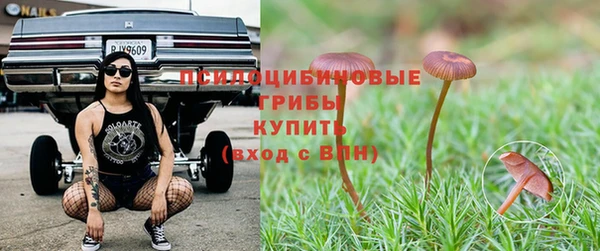 круглые Аркадак