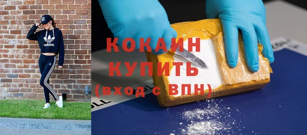 индика Наволоки