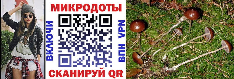 Галлюциногенные грибы MAGIC MUSHROOMS  сколько стоит  Мураши 